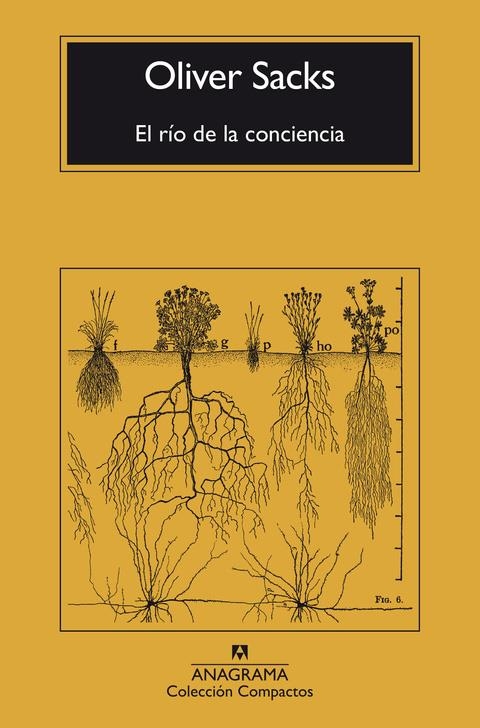 RÍO DE LA CONCIENCIA, EL - CM | 9788433946867 | SACKS, OLIVER
