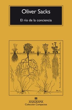 RÍO DE LA CONCIENCIA, EL - CM | 9788433946867 | SACKS, OLIVER