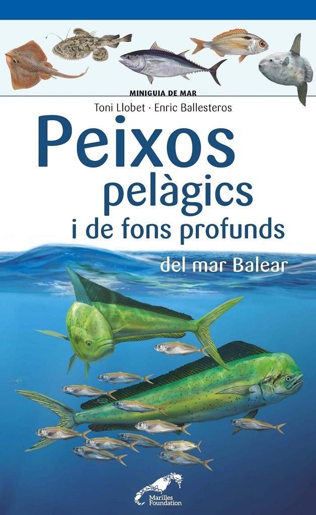 Peixos pelàgics i de fons profunds del mar Balear | 9788490349397 | Ballesteros Sagarra, Enric/Llobet François, Toni