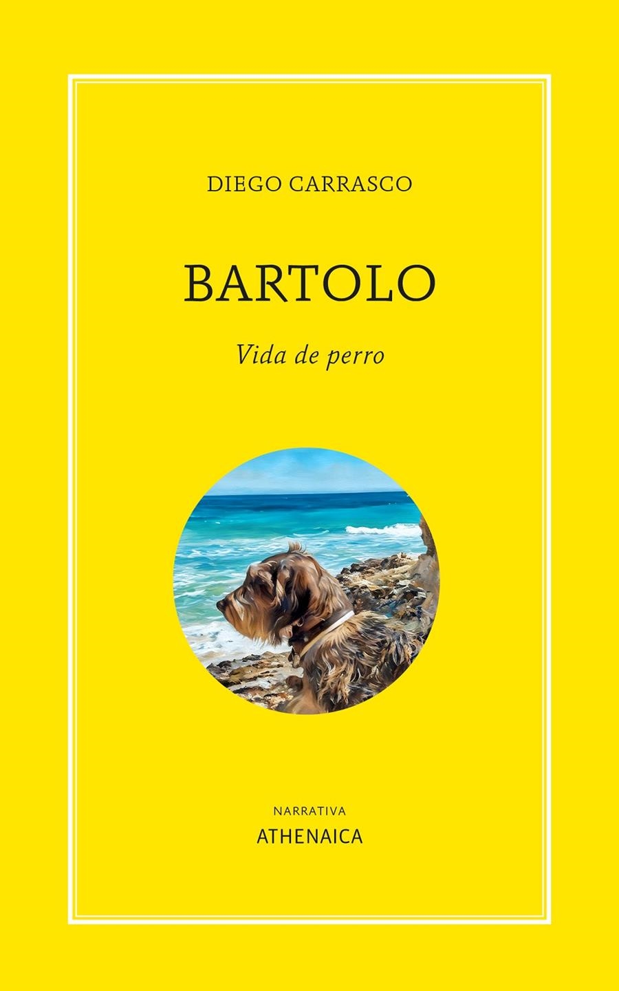 Bartolo. Vida de perro | 9788419874955 | Carrasco, Diego