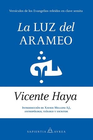 La Luz del arameo | 9788410526907 | Vicente Haya