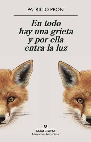 En todo hay una grieta y por ella entra la luz | 9788433949158 | Pron, Patricio