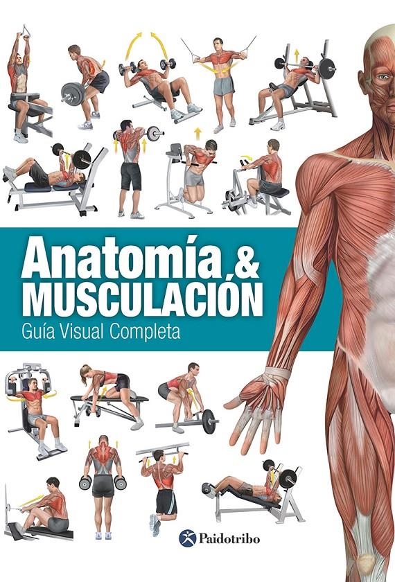 Anatomía & Musculación. Guía visual completa (Color) | 9788499104911 | Cánovas Linares, Ricardo
