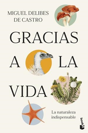Gracias a la vida | 9788423369539 | Delibes de Castro, Miguel