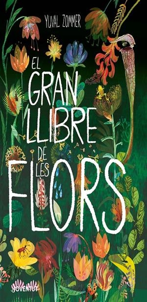 El gran llibre de les flors | 9788426146441 | Zommer, Yuval