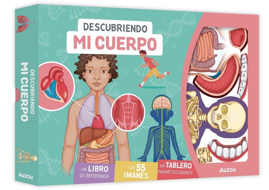 Descubriendo mi cuerpo. Tablero magnético | 9791039580670 | PEDROLA, Adèle