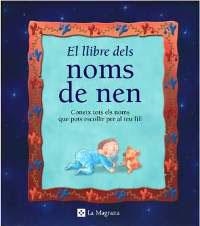 El llibre dels noms de nen | 9788482642963 | Albaigès Josep M.