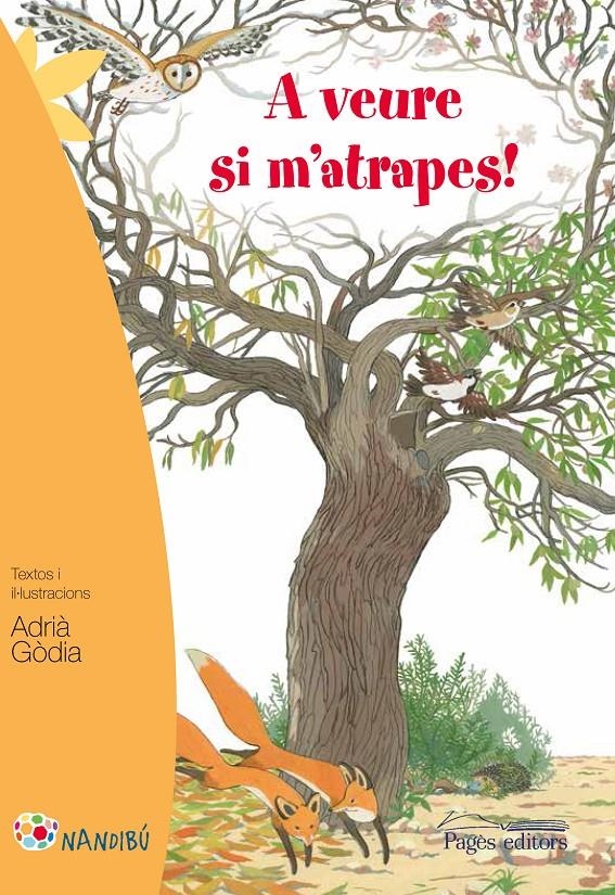 A veure si m'atrapes! | 9788499757223 | Gòdia Moragues, Adrià