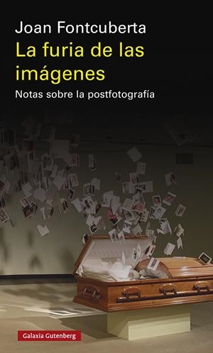 La furia de las imágenes- 2020 | 9788417971793 | Fontcuberta, Joan