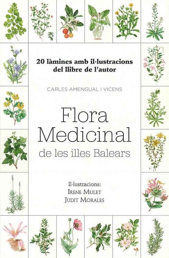 20 làmines amb il·lustracions del llibre de l’autor Carles Amengual i Vicens | 9788483844526 | Mulet Domingo, Irene/Morales Villanueva, Judit